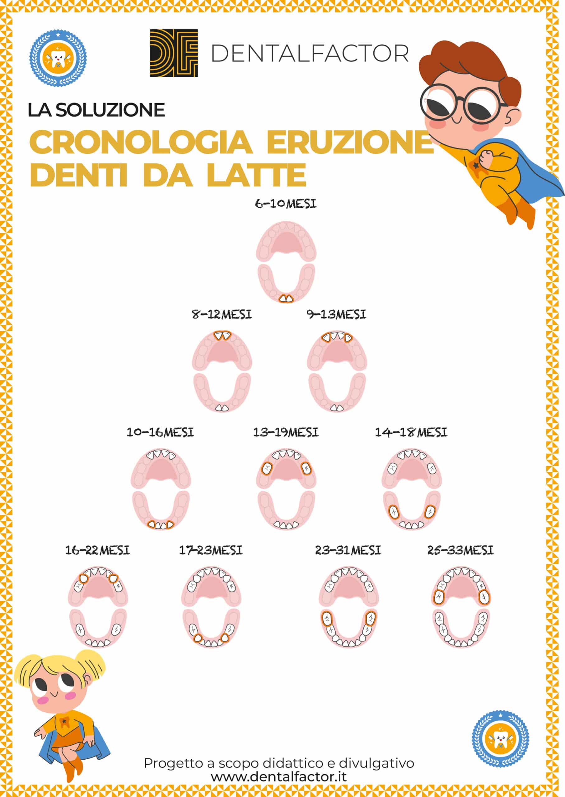 Calendario denti da latte cronologia