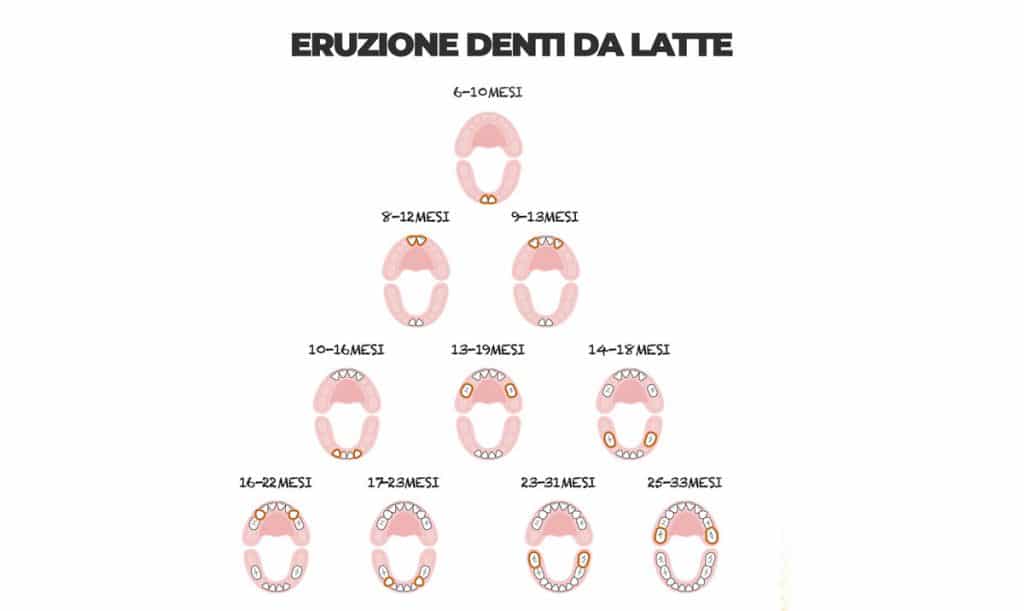 eruzione denti da latte