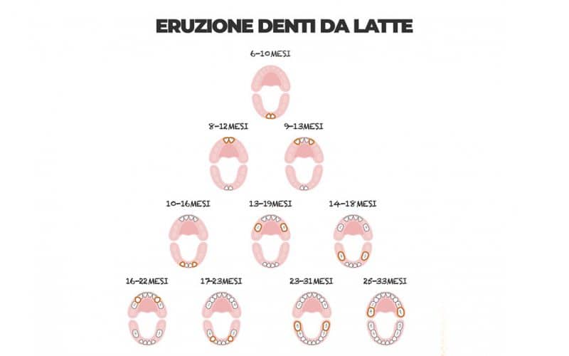 Calendario denti da latte. Quando spuntano i dentini?