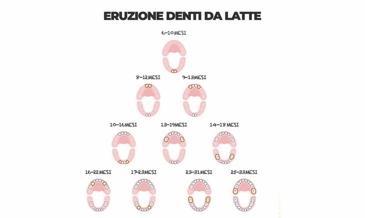 Calendario denti da latte. Quando spuntano i dentini?