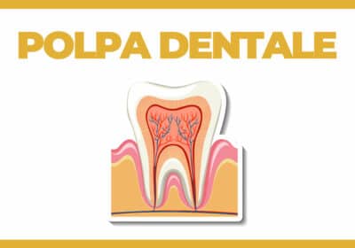 polpa dentale