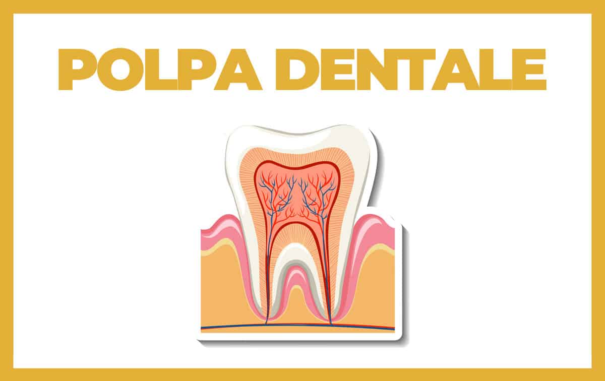 Polpa dentale