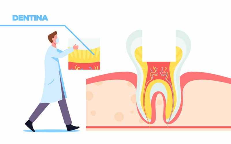 Dentina