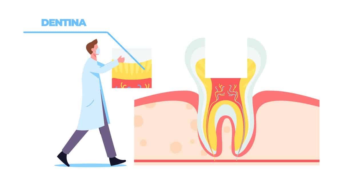 Dentina